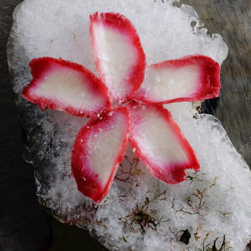 picture of carp in shape of flowers petals, on bed of ice