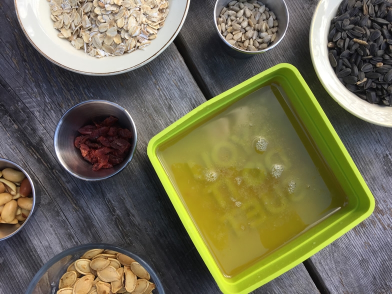 small containers of seeds, oats, nuts and fruits to make suet cakes for birds