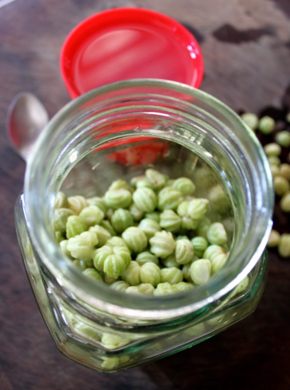 nasturtium capers