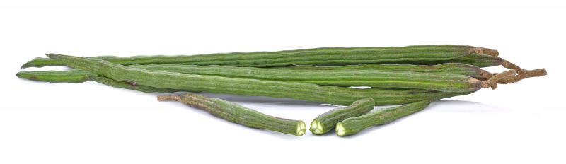 MavalvalaN_WRLD_2of5_2016.08moringa isolated on a white background