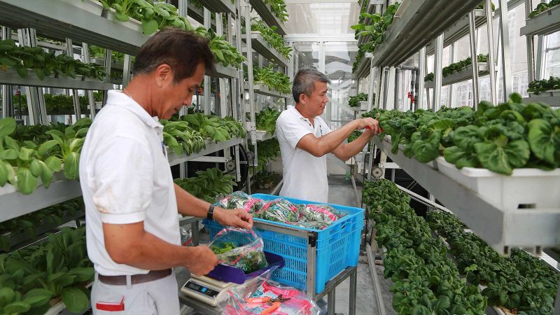 Harvesting produce in vertical farming environment