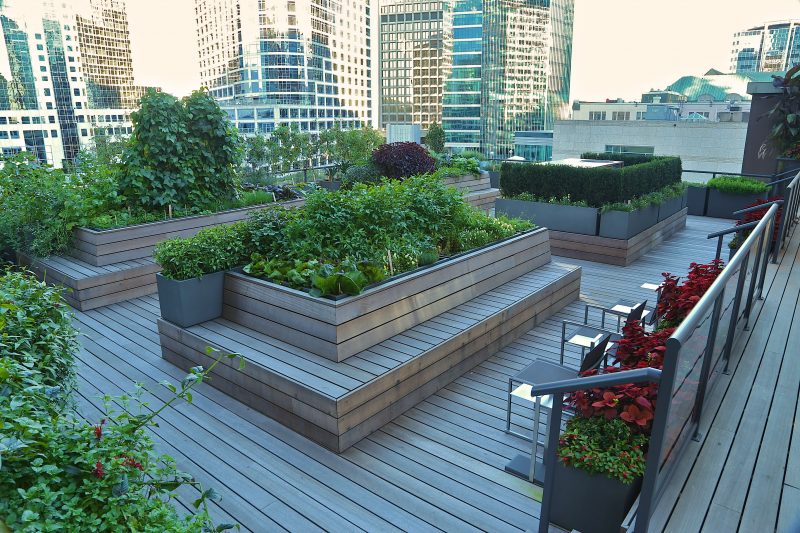 Rooftop gardens