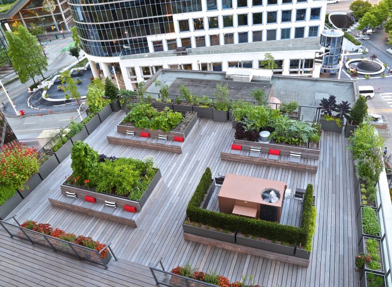 Rooftop garden